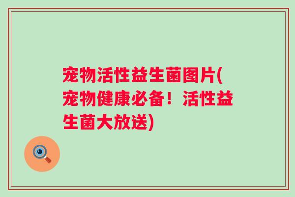 宠物活性益生菌图片(宠物健康必备！活性益生菌大放送)