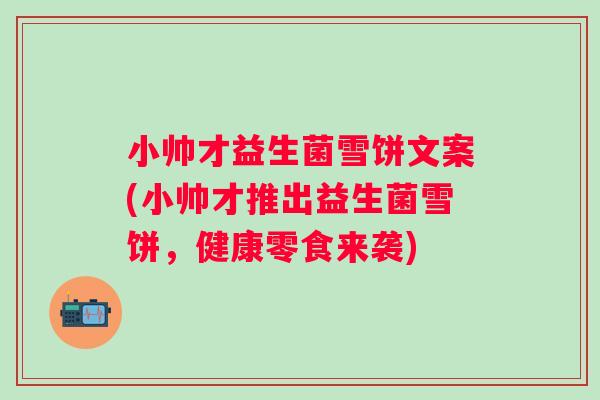小帅才益生菌雪饼文案(小帅才推出益生菌雪饼，健康零食来袭)