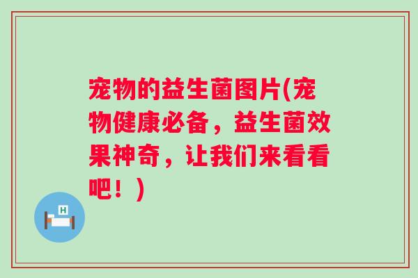宠物的益生菌图片(宠物健康必备,益生菌效果神奇,让我们来看看吧!) 宠物的益生菌图片(宠物健康必备,益生菌效果神奇,让我们来看看吧!)