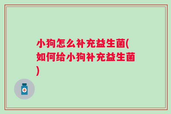 小狗怎么补充益生菌(如何给小狗补充益生菌) 小狗怎么补充益生菌(如何给小狗补充益生菌)