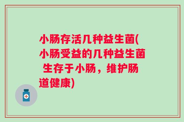 小肠存活几种益生菌(小肠受益的几种益生菌 生存于小肠，维护肠道健康)
