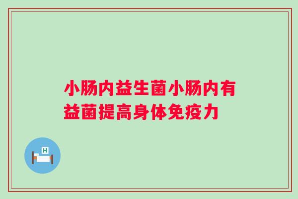 小肠内益生菌小肠内有益菌提高身体力 小肠内益生菌小肠内有益菌提高身体力