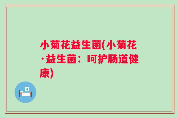 小菊花益生菌(小菊花·益生菌：呵护肠道健康)