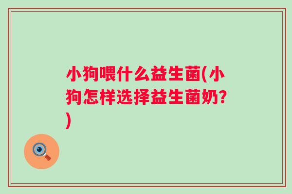 小狗喂什么益生菌(小狗怎样选择益生菌奶？)