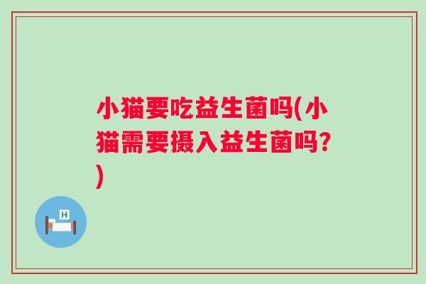 小猫要吃益生菌吗(小猫需要摄入益生菌吗?) 小猫要吃益生菌吗(小猫需要摄入益生菌吗?)