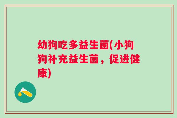 幼狗吃多益生菌(小狗狗补充益生菌，促进健康)