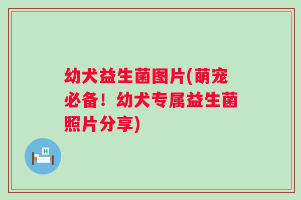 幼犬益生菌图片(萌宠必备！幼犬专属益生菌照片分享)