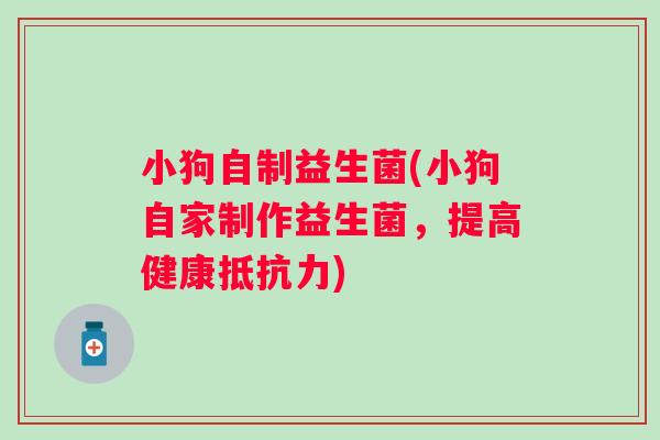 小狗自制益生菌(小狗自家制作益生菌，提高健康抵抗力)
