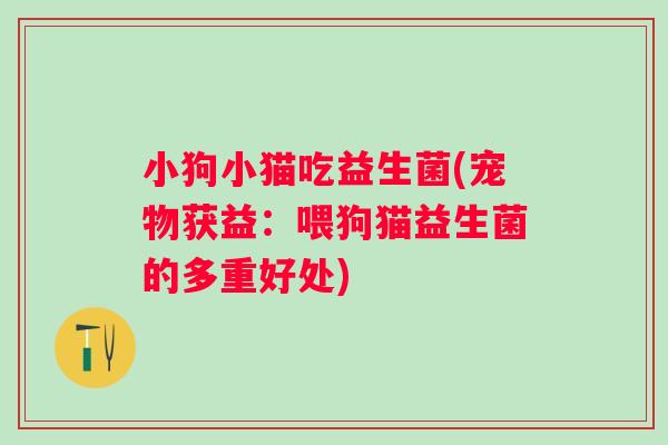 小狗小猫吃益生菌(宠物获益：喂狗猫益生菌的多重好处)