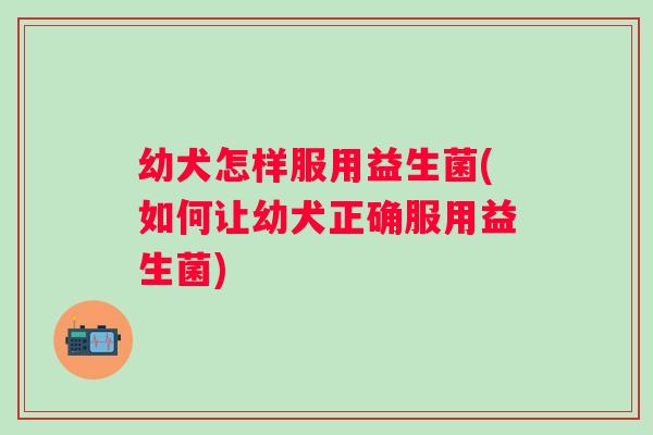 幼犬怎样服用益生菌(如何让幼犬正确服用益生菌) 幼犬怎样服用益生菌(如何让幼犬正确服用益生菌)