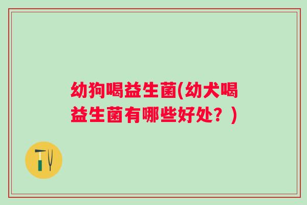幼狗喝益生菌(幼犬喝益生菌有哪些好处？)