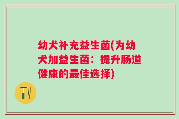 幼犬补充益生菌(为幼犬加益生菌：提升肠道健康的最佳选择)