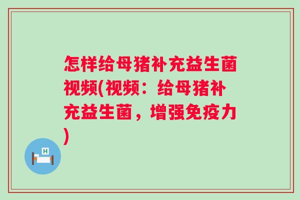 怎样给母猪补充益生菌视频(视频：给母猪补充益生菌，增强力)