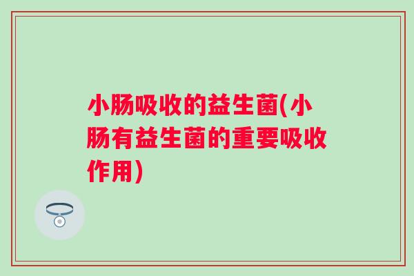 小肠吸收的益生菌(小肠有益生菌的重要吸收作用)