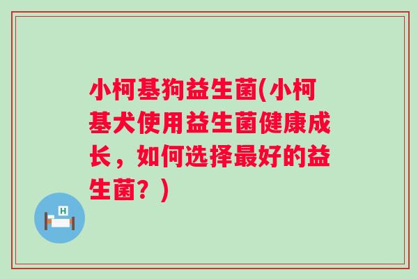 小柯基狗益生菌(小柯基犬使用益生菌健康成长，如何选择好的益生菌？)