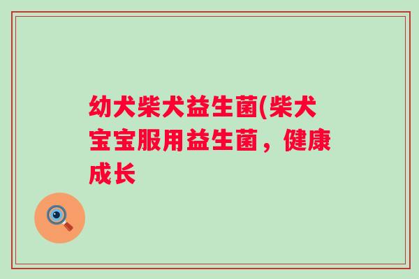 幼犬柴犬益生菌(柴犬宝宝服用益生菌,健康成长 幼犬柴犬益生菌(柴犬宝宝服用益生菌,健康成长