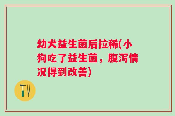 幼犬益生菌后拉稀(小狗吃了益生菌,情况得到改善) 幼犬益生菌后拉稀(小狗吃了益生菌,情况得到改善)