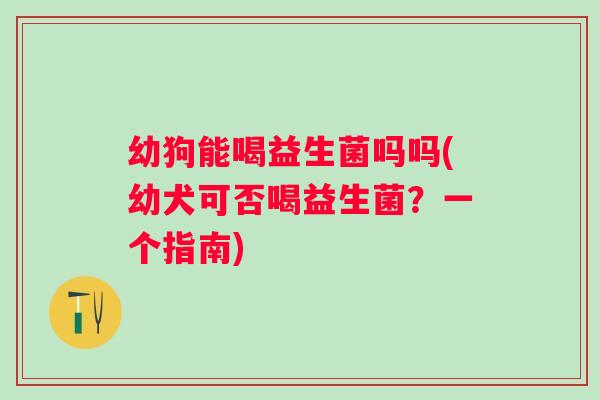 幼狗能喝益生菌吗吗(幼犬可否喝益生菌？一个指南)