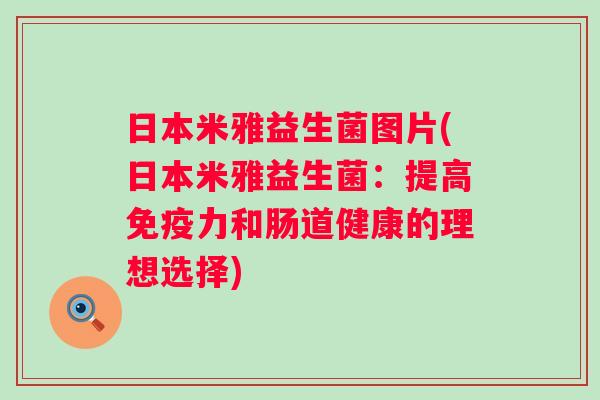 日本米雅益生菌图片(日本米雅益生菌:提高力和肠道健康的理想选择) 日本米雅益生菌图片(日本米雅益生菌:提高力和肠道健康的理想选择)