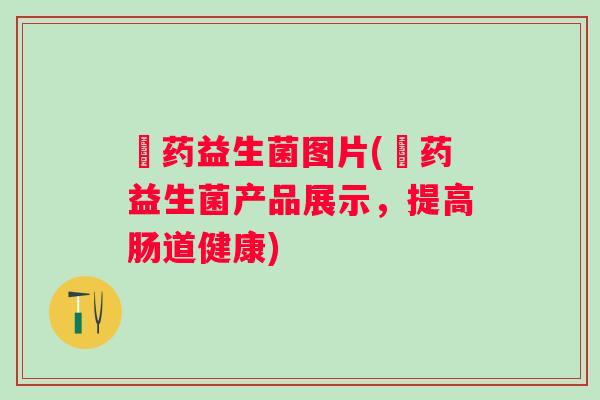 曽药益生菌图片(曽药益生菌产品展示,提高肠道健康) 曽药益生菌图片(曽药益生菌产品展示,提高肠道健康)