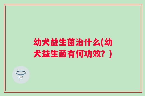 幼犬益生菌什么(幼犬益生菌有何功效？)