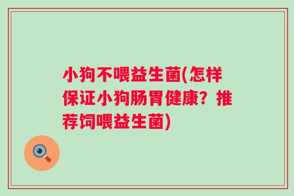 小狗不喂益生菌(怎样保证小狗肠胃健康?推荐饲喂益生菌) 小狗不喂益生菌(怎样保证小狗肠胃健康?推荐饲喂益生菌)