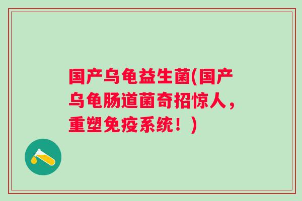 国产乌龟益生菌(国产乌龟肠道菌奇招惊人，重塑系统！)