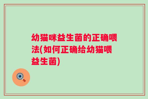 幼猫咪益生菌的正确喂法(如何正确给幼猫喂益生菌)