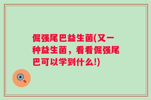倔强尾巴益生菌(又一种益生菌,看看倔强尾巴可以学到什么!) 倔强尾巴益生菌(又一种益生菌,看看倔强尾巴可以学到什么!)
