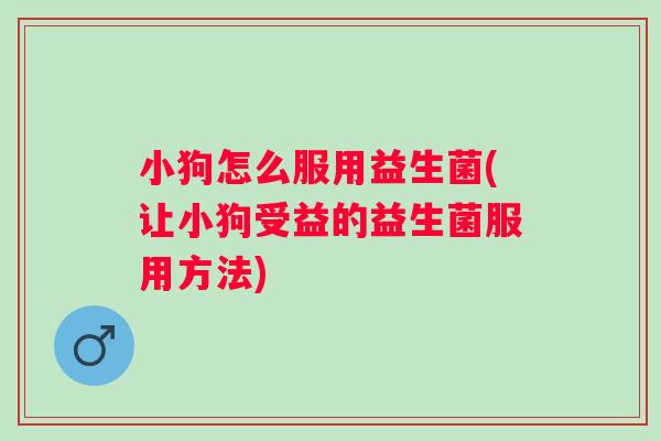 小狗怎么服用益生菌(让小狗受益的益生菌服用方法)