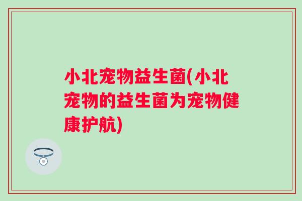 小北宠物益生菌(小北宠物的益生菌为宠物健康护航)