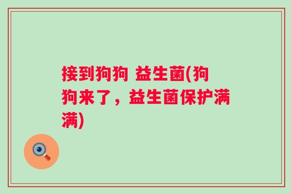 接到狗狗 益生菌(狗狗来了，益生菌保护满满)