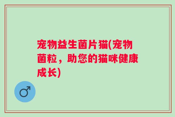 宠物益生菌片猫(宠物菌粒，助您的猫咪健康成长)
