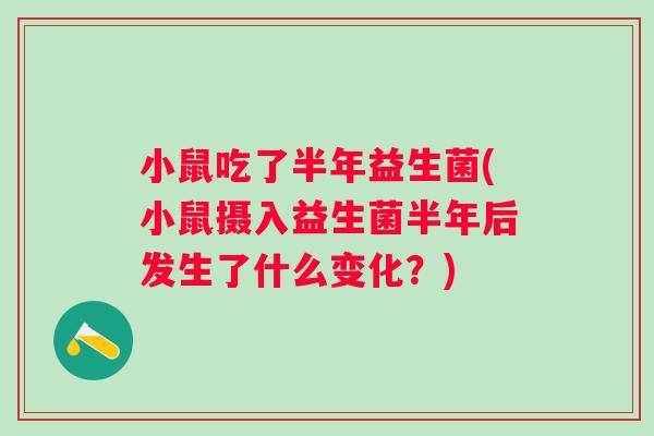 小鼠吃了半年益生菌(小鼠摄入益生菌半年后发生了什么变化？)