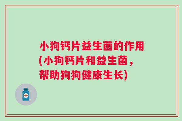 小狗钙片益生菌的作用(小狗钙片和益生菌，帮助狗狗健康生长)