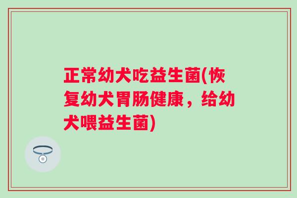 正常幼犬吃益生菌(恢复幼犬健康，给幼犬喂益生菌)