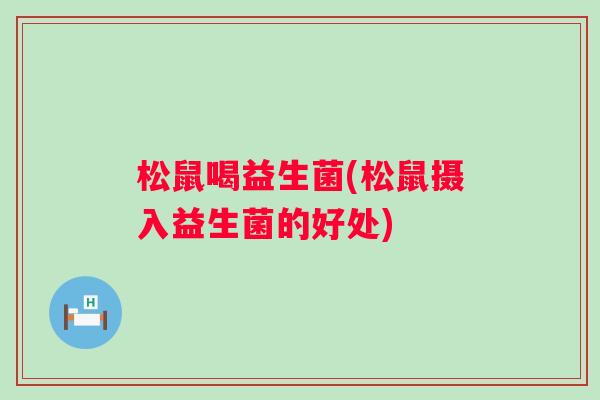 松鼠喝益生菌(松鼠摄入益生菌的好处)