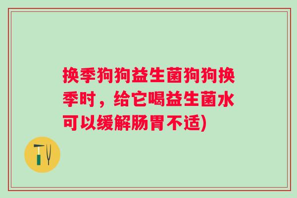 换季狗狗益生菌狗狗换季时,给它喝益生菌水可以缓解肠胃不适) 换季狗狗益生菌狗狗换季时,给它喝益生菌水可以缓解肠胃不适)