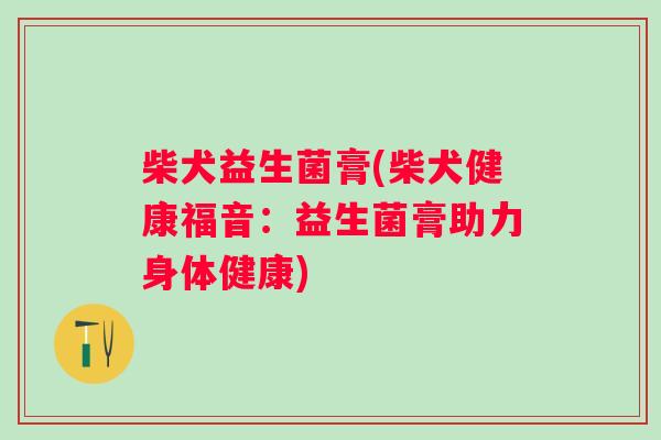 柴犬益生菌膏(柴犬健康福音：益生菌膏助力身体健康)