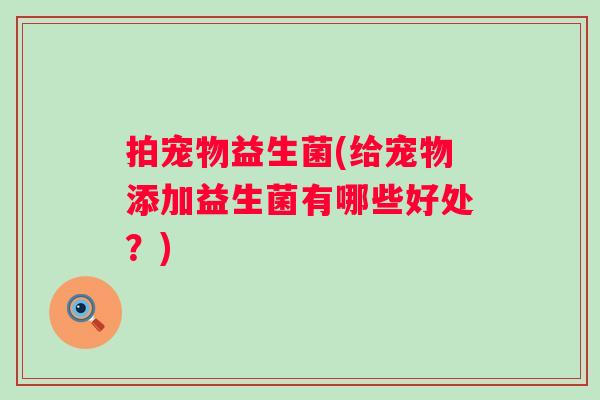 拍宠物益生菌(给宠物添加益生菌有哪些好处?) 拍宠物益生菌(给宠物添加益生菌有哪些好处?)