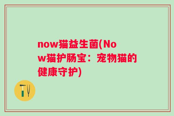 now猫益生菌(Now猫护肠宝：宠物猫的健康守护)
