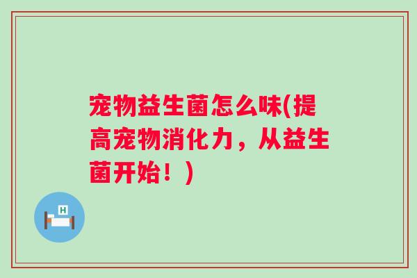 宠物益生菌怎么味(提高宠物消化力,从益生菌开始!) 宠物益生菌怎么味(提高宠物消化力,从益生菌开始!)