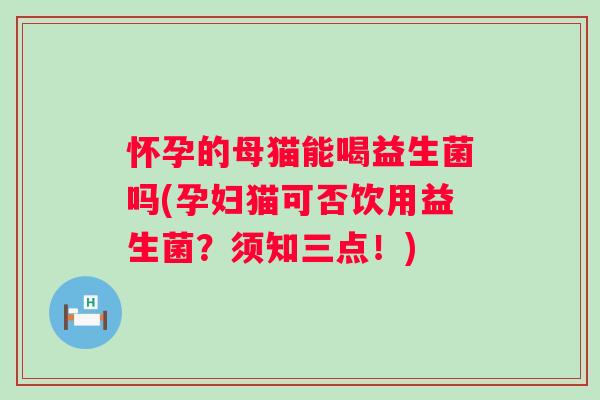 怀孕的母猫能喝益生菌吗(孕妇猫可否饮用益生菌？须知三点！)
