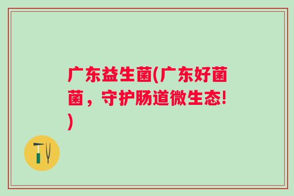 广东益生菌(广东好菌菌，守护肠道微生态!)