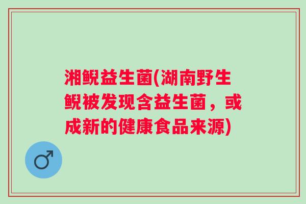 湘鲵益生菌(湖南野生鲵被发现含益生菌,或成新的健康食品来源) 湘鲵益生菌(湖南野生鲵被发现含益生菌,或成新的健康食品来源)