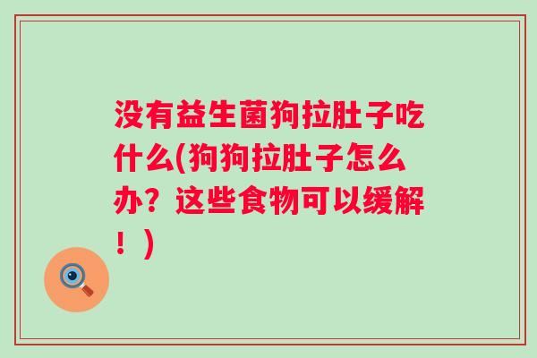 没有益生菌狗拉肚子吃什么(狗狗拉肚子怎么办？这些食物可以缓解！)