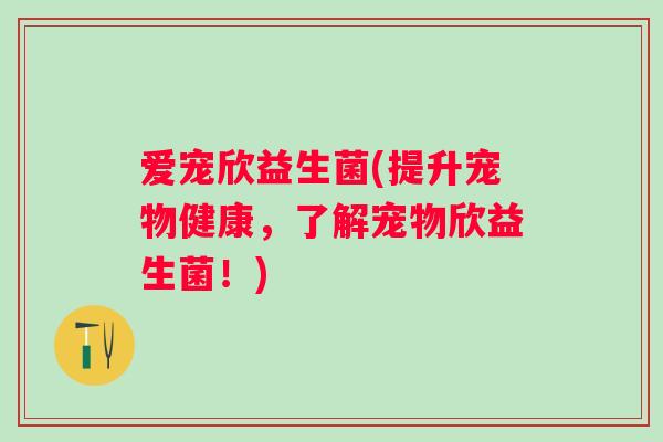 爱宠欣益生菌(提升宠物健康，了解宠物欣益生菌！)
