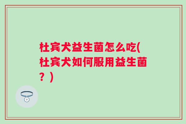 杜宾犬益生菌怎么吃(杜宾犬如何服用益生菌?) 杜宾犬益生菌怎么吃(杜宾犬如何服用益生菌?)