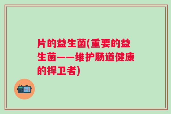 片的益生菌(重要的益生菌——维护肠道健康的捍卫者)
