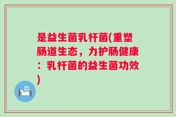 是益生菌乳杆菌(重塑肠道生态，力护肠健康：乳杆菌的益生菌功效)